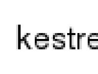 kestrel.se kestrel.se