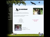 liten kfv-riks.se skärmbild liten kfv-riks.se skärmbild