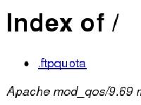 Index of / Index of /