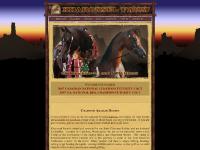 Arabian Stallions and Horses For Sale at Kharousel Farm in Washington Arabian Stallions and Horses For Sale at Kharousel Farm in Washington