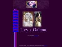 khorinyas-afghans.com Home., News., Our Dogs.