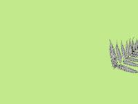 kiaora - Enter kiaora - Enter