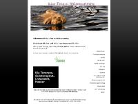 Kia Temmes, foto och hälsoscanning Kia Temmes, foto och hälsoscanning