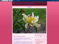 kickis växt och djurvärld