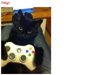 om kimsmith.se - kimsmith om kimsmith.se - kimsmith