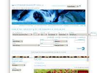 kittensforadoption.us kitten, cat, kittens