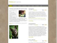 liten klicker.se skärmbild