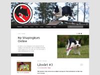  Filmer, Vom og hundemat, Agility Foundations, Agilityläger