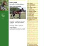 Knutsson Trotting AB