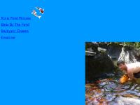 Koi pond How to Koi 101 Koi photo photos Health Flow Rates Through Filters Help with filters Backyard Flowers Koi pond How to Koi 101 Koi photo photos Health Flow Rates Through Filters Help with filters Backyard Flowers