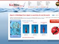 koibito-japan.com nishikigoi, koi, momotaro