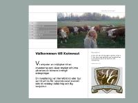 koinvest.se koinvest.se