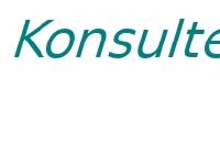 statistik för konsulten  statistik för konsulten