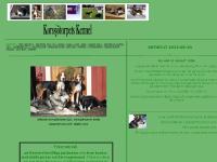 korssjtorpet.se Korssjötorpet, Korssjötorpets Kennel, finnstövare korssjtorpet.se Korssjötorpet, Korssjötorpets Kennel, finnstövare
