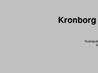 Kronborg Trafikkonsult AB