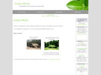 kudzuworld.com