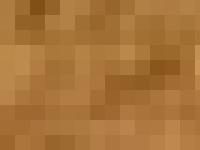 Kulleröds Kennel Kulleröds Kennel