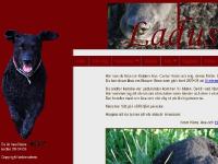 ladusvalans.se Om Mig, Hundarna, Kiara