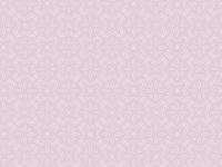 bimiFranssons Hunderia bimiFranssons Hunderia