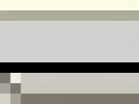 statistik för lagottouppfodare - Lagotto Romagnolo .S