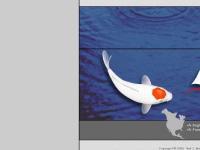 lagunaponds.com English North America, French North America, English Europe