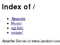 Welcome to the Lambron web site