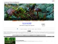 landscape-photo.net Album list, Last uploaded, Most viewed landscape-photo.net Album list, Last uploaded, Most viewed