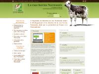 lanormande.com Normande, vache, Vache laitière lanormande.com Normande, vache, Vache laitière