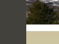 liten laponiafood.se skärmbild