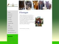 Lappdals Islandshästar i Åkersberga, Stockholm