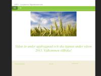 liten laso.se skärmbild liten laso.se skärmbild
