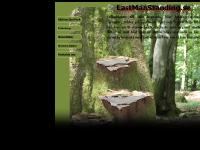 Last Man Standing Last Man Standing