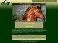 La Tierra Paso Finos - Breeders of the finest Mares and Stallions in the Paso Fino Breed