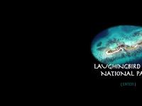 laughingbird.org Laughingbird, Caye, Caribbean laughingbird.org Laughingbird, Caye, Caribbean