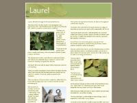 laurel.co.uk laurel.co.uk