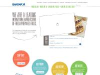  Becoming a supplier, Who we are, What we do, Where we operate