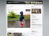 lcsvallet.wordpress.com - lcsvallet lcsvallet.wordpress.com - lcsvallet