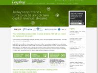 leapfrogonline.com Clients, Digital Marketing, Our Expertise