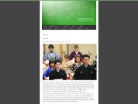 Shamisen - Nagauta Shamisen Lessons