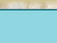  The Arabian Horse, The Morgan Horse, The Paint Horse, The Quarter Horse