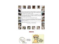 Le coin des rats Le coin des rats