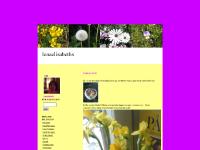  Allmänt, Trackbacks (), Allmänt, Trackbacks ()