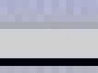 liten leons.se skärmbild