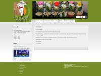  Planchas, Rotisserie, Buffets Froids, Amuse Bouche