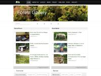 Leuser Ecosystem | Badan Pengelola Kawasan Ekosistem Leuser | BPKEL Leuser Ecosystem | Badan Pengelola Kawasan Ekosistem Leuser | BPKEL
