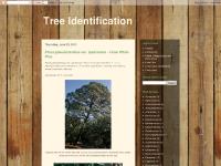 Tree Identification Tree Identification