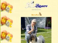 liten lhinacre.se skärmbild