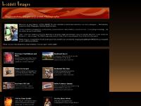 liddellimages.com cactus, blooms, rodeos