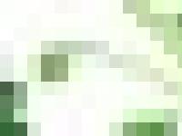 liten lifebylisen.com skärmbild