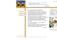 Light Travel: memoirs and stories about Yogi Bhajan, Kundalini Yoga, 3HO's life, Khalsa way Light Travel: memoirs and stories about Yogi Bhajan, Kundalini Yoga, 3HO's life, Khalsa way